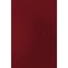 Fellowes Lot de 50 couvertures cartonnées A4 en simili cuir - 750 gr - Rouge