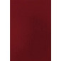 Fellowes Lot de 50 couvertures cartonnées A4 en simili cuir - 750 gr - Rouge