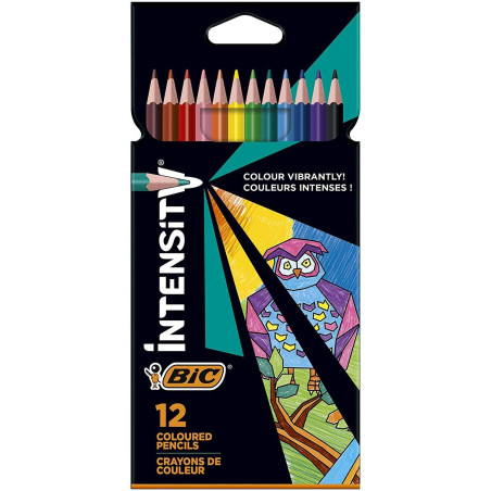 Bic Intensity Color Up Boîte de 12 Crayons Triangulaires de Couleurs Assorties - En Résine - Mine Ultra-résistante de 3,20 mm