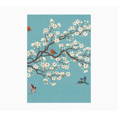 Cahier Pictura A5 - 15x21 cm - 48 pages lignées - Papier certifié FSC