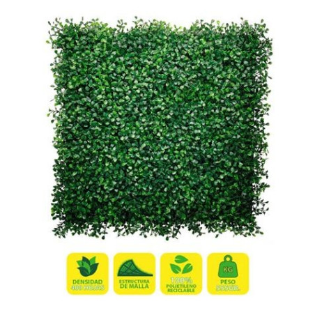 Sungarden Jardin Vertical Série Floraria 50x50cm - Couleur Vert