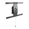 Monitor Stands