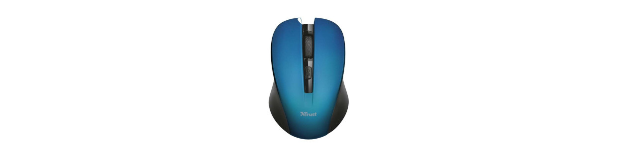 Souris