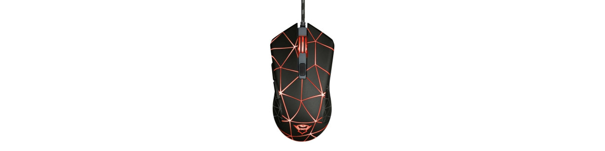 Souris Gaming